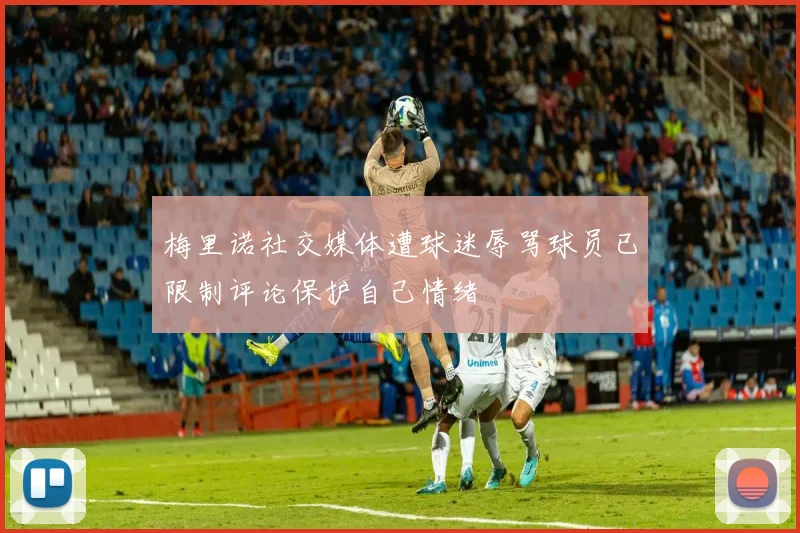 梅里诺社交媒体遭球迷辱骂球员已限制评论保护自己情绪