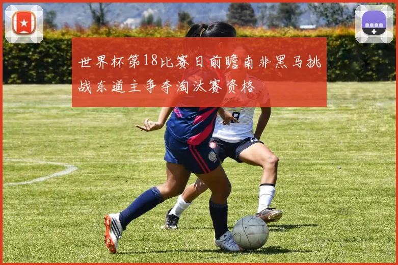 世界杯第18比赛日前瞻南非黑马挑战东道主争夺淘汰赛资格
