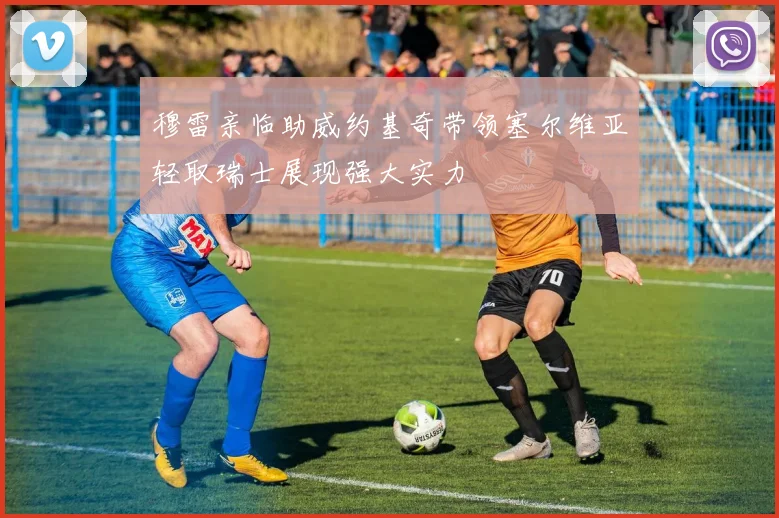 穆雷亲临助威约基奇带领塞尔维亚轻取瑞士展现强大实力