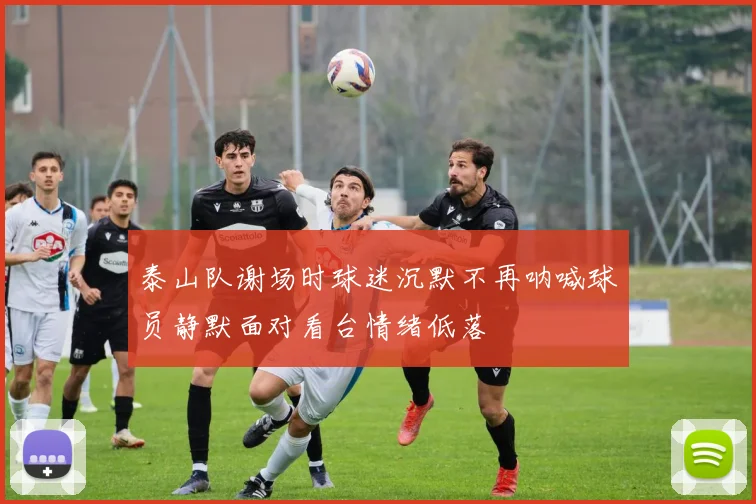 泰山队谢场时球迷沉默不再呐喊球员静默面对看台情绪低落